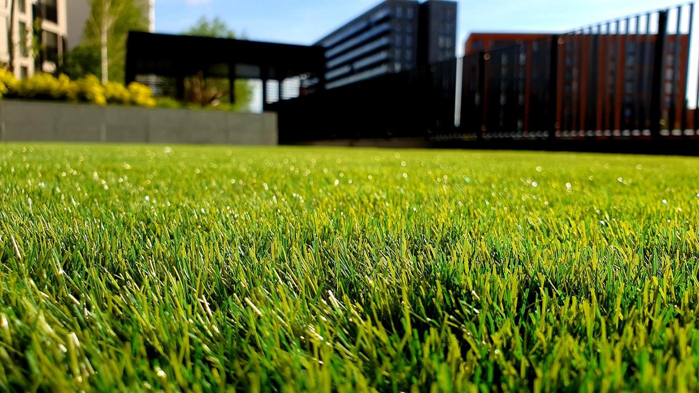 Lush green lawn